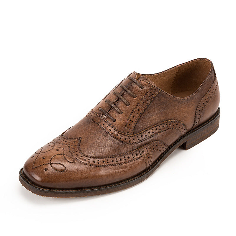 Sactino Brogue leather shoes in brown / black / coffee color