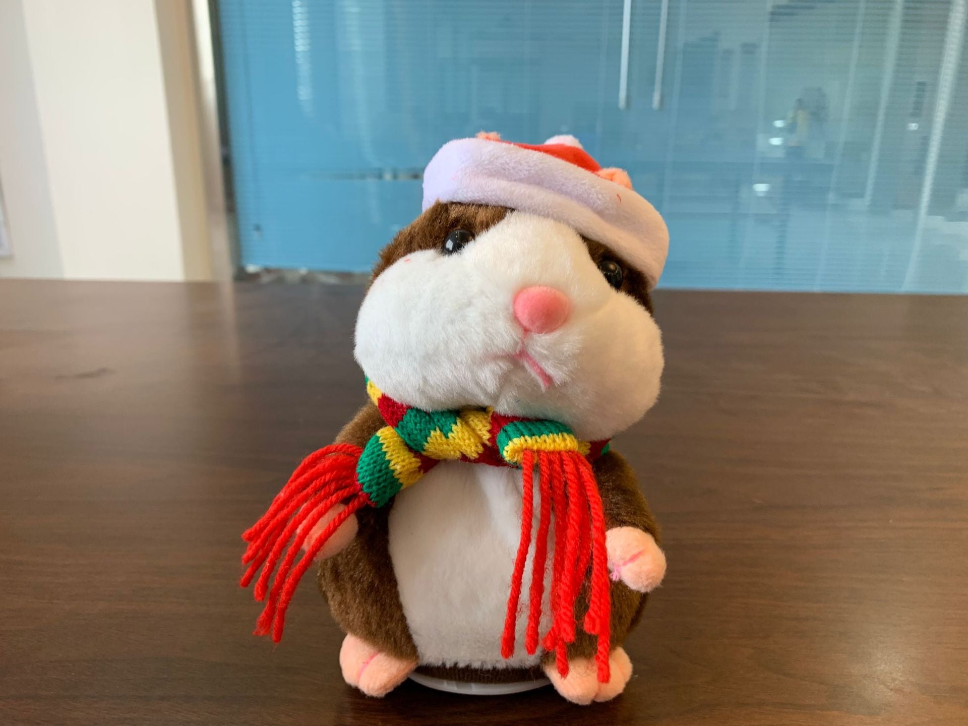 Talking hamster