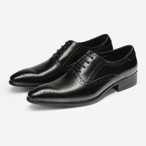 Sactino Brogue zapatos de cuero en negro / café