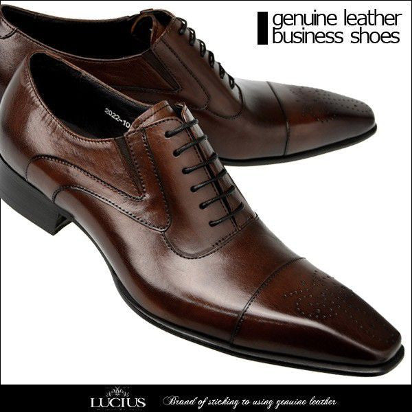 Sactino Brogue zapatos de cuero marrón / negro