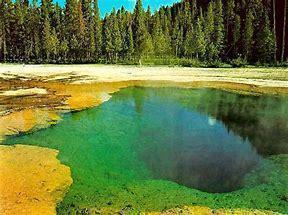 AAA