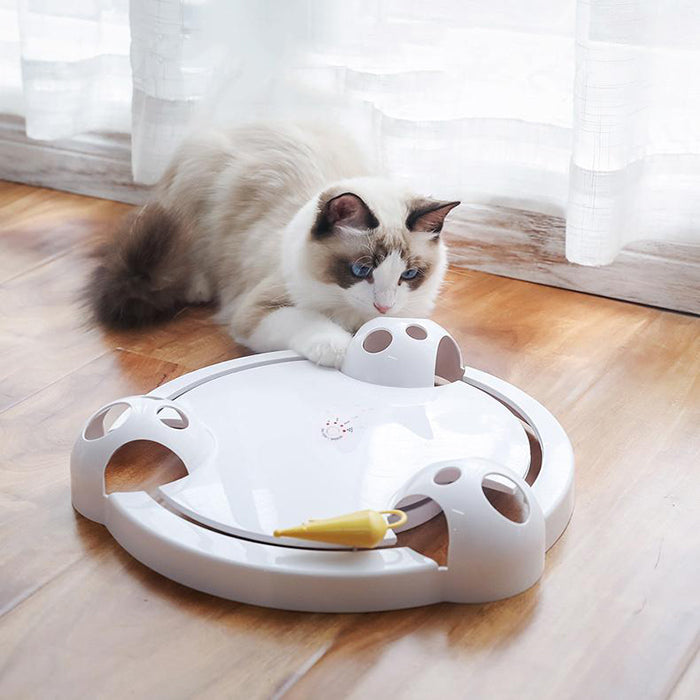 automatic cat toy