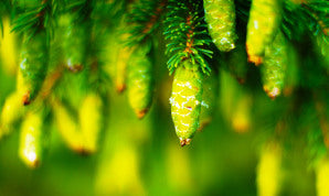 Hola, soy la marca de la carcasa del teléfono Mingyan