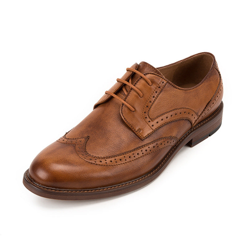 Cuero Sactino Brogue marrón / café