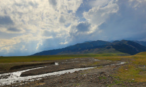Hola, soy la marca de la carcasa del teléfono Mingyan